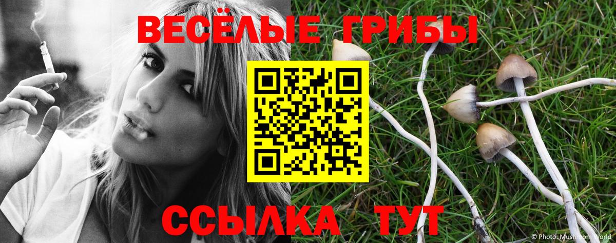 купить наркотики цена  Вход с VPN  Спасск-Дальний  Галлюциногенные грибы ЛСД 
